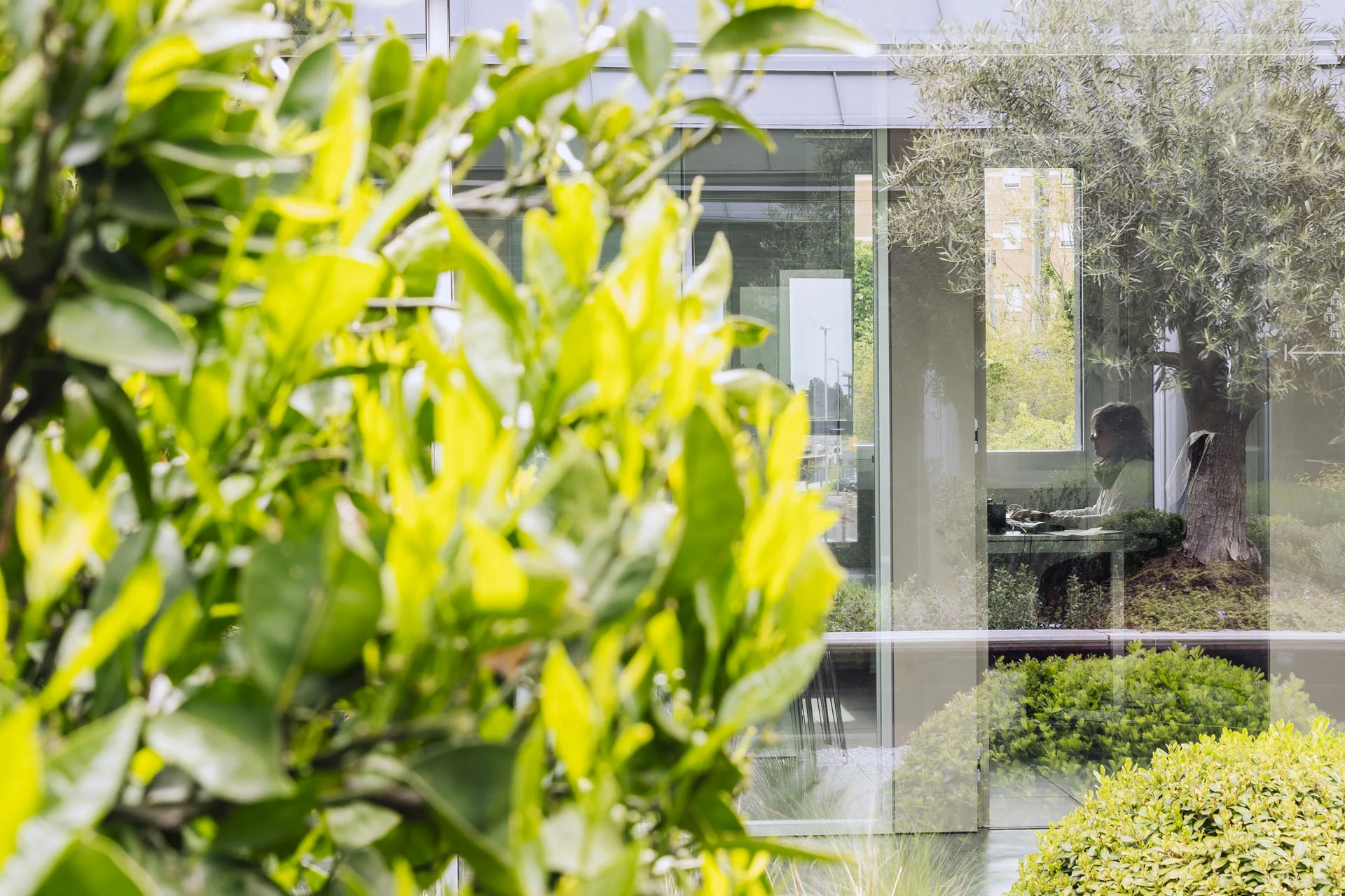 210504_GRUPPO PIETRINI_∏Stefano Anzini_IMG_7251_Hi